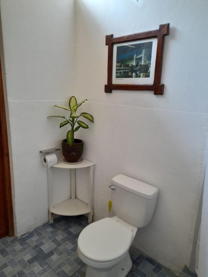 Casa Yoly Hostel กรานาดา ภายนอก รูปภาพ